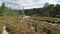 Valley of Lui Wter in Cairngorms National Park in Grampian Mountains in Scotland