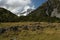 Valley with Mount Cook in background