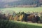 Valley near the Diemelsee