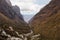 Valley beside the Paron lagoon, at Huascaran National Park