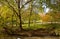 Valley of Ramenka River, specially protected natural area in Southwestern Administrative District of Moscow. in fall, Russia