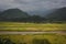 Valley rice field on the harvest season