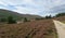 Valley of River Dee in Cairngorms National Park in Grampian Mountains in Scotland