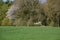 Valley of the River Fulde in Spring in the Lueneburger Heath, Walsrode, Lower Saxony