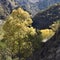 Valley of the river Genil in the path of the Sierra Nevada