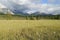 Valley of Saskatchewan River in Canadian Rockies