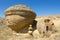 Valley of the spheres, Torysh, Mangystau region, Kazakhstan