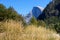 Valley with tall golden grass with granite cliffs in the background