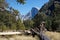 Valley with tall golden grass with granite cliffs in the background