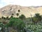 The valley of Vega de Rio Palmas on Fuerteventura