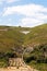 Valley with vegetable gardens