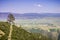 Valley view from near south Chalone Peak, Pinnacles National Park, California