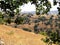 Valley View -Yehudiya Creek in Israel