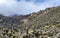 Valleys of frailejones in the paramo of highlands of Anzoategui E