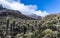 Valleys of frailejones in the paramo of highlands of Anzoategui G