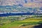 Vally full of Orchard, Fruit Garden In Okanagan Valley, Kelowna, British Columbia