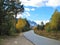 VallÃ©e De La ClarÃ©e - Briancon - France - Road in the dense fir forest