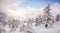 Valmalenco IT - Snowy landscape with Pizzo Scalino