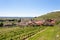 Valpolicella hills landscape, Italian viticulture area, Italy