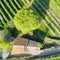 Valtellina IT Apple orchards in the Chiuro area