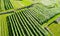 Valtellina IT Apple orchards in the Chiuro area  Ponte in Valtellina - aerial view