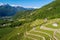 Valtellina IT, Bianzone, view of the Nebbiolo vineyards