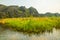 Van Long Nature Reserve with boats and beautiful mountains, NinhBinh, Vietnam