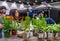 Vancouver, British Columbia, - May 5, 2019: Herbs in compostable pots at VegExpo, Vancouver Conference Centre.