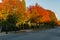 VANCOUVER, CANADA - OCTOBER 1, 2017: Euclid Avenue Coloured trees on an autumn day.