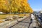 Vancouver Harbor Front Walkway