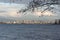 Vancouver skyline underneath hanging tree