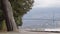 Vancouver Stanley Park and Lions Gate Bridge by Vancouver Seawall