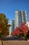 Vancouver Yaletown Condo Towers