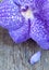 Vanda coerulea orchids on the wooden background, close up