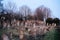 Vandalised graves in Jewish cemetery in Quatzenheim