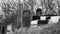 Vandalised graves in Jewish cemetery in Quatzenheim