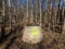 vandalized painted cement sewer entrance in forest