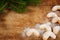 Vanilla cones and branch isolated over wooden background