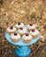 Vanilla cupcakes on a blue cake stand with cherries on top