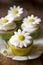 Vanilla cupcakes decorated with daisy flowers. Generative AI