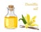 Vanilla essential oil in a glass bottle and yellow fragrant flower