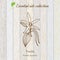 Vanilla, essential oil label, aromatic plant