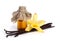 Vanilla essential oil in pharmaceutical bottle