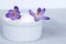 Vanilla ice cream decorated with purple flowers. Ice cream on a light background. Ð¡lose-up. Healthy vegan icecream. Breakfast.