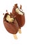 Vanilla ice cream popsicles with chocolatey coating isolated