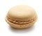 Vanilla macaroon on white background