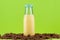 Vanilla milk bottle on green background