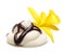 Vanilla orchid flower and cream with chocolate