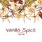 Vanilla spice poster for advertising company