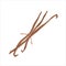 Vanilla sticks, bunch of dried bourbon vanila pods with beans, hand drawn illustration, detailed realistic art, colored